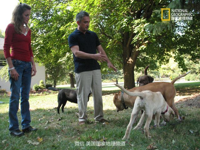 国家地理之十大纪录片,国家地理高清唯美纪录片