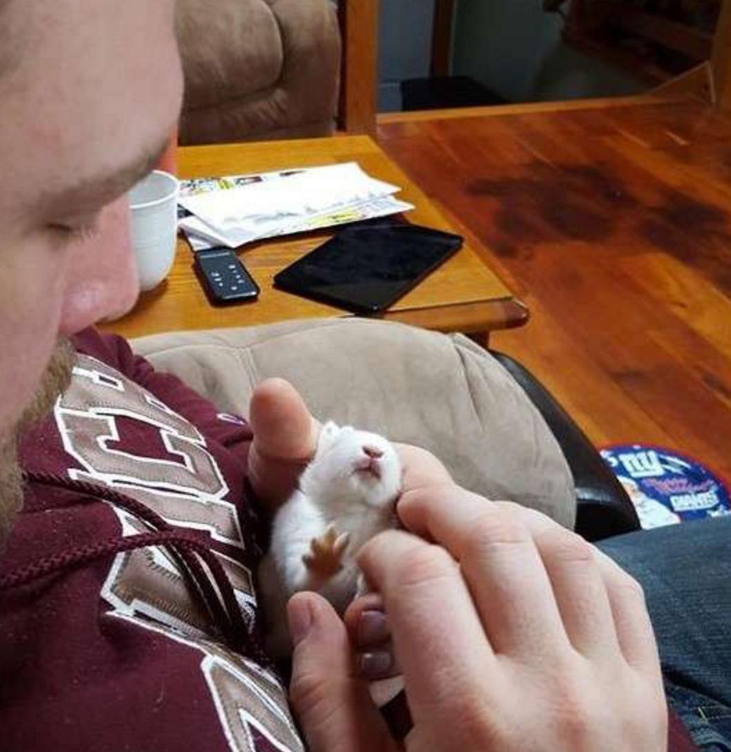 小兔灵机一动想出了一个办法,小兔子瘫痪