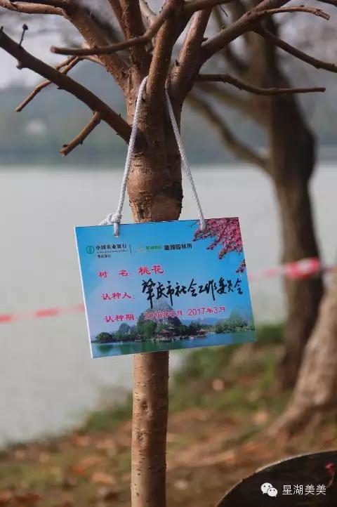 七星岩景区桃花,肇庆七星岩的桃花是什么颜色的