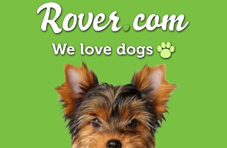 硅谷创业公司排名前十,硅谷十大顶级初创公司