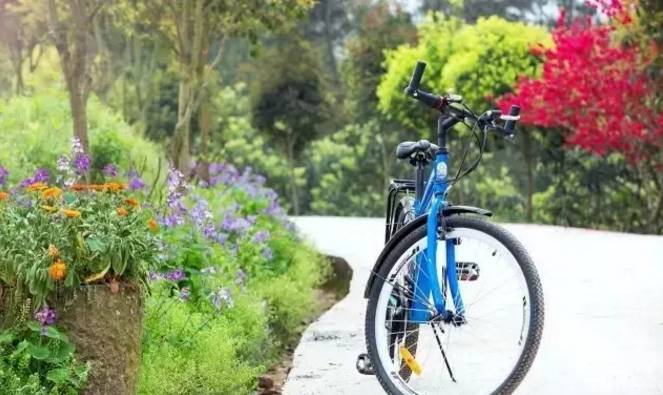 重庆私藏好吃的地方,重庆荣昌附近哪里有好玩的农家乐