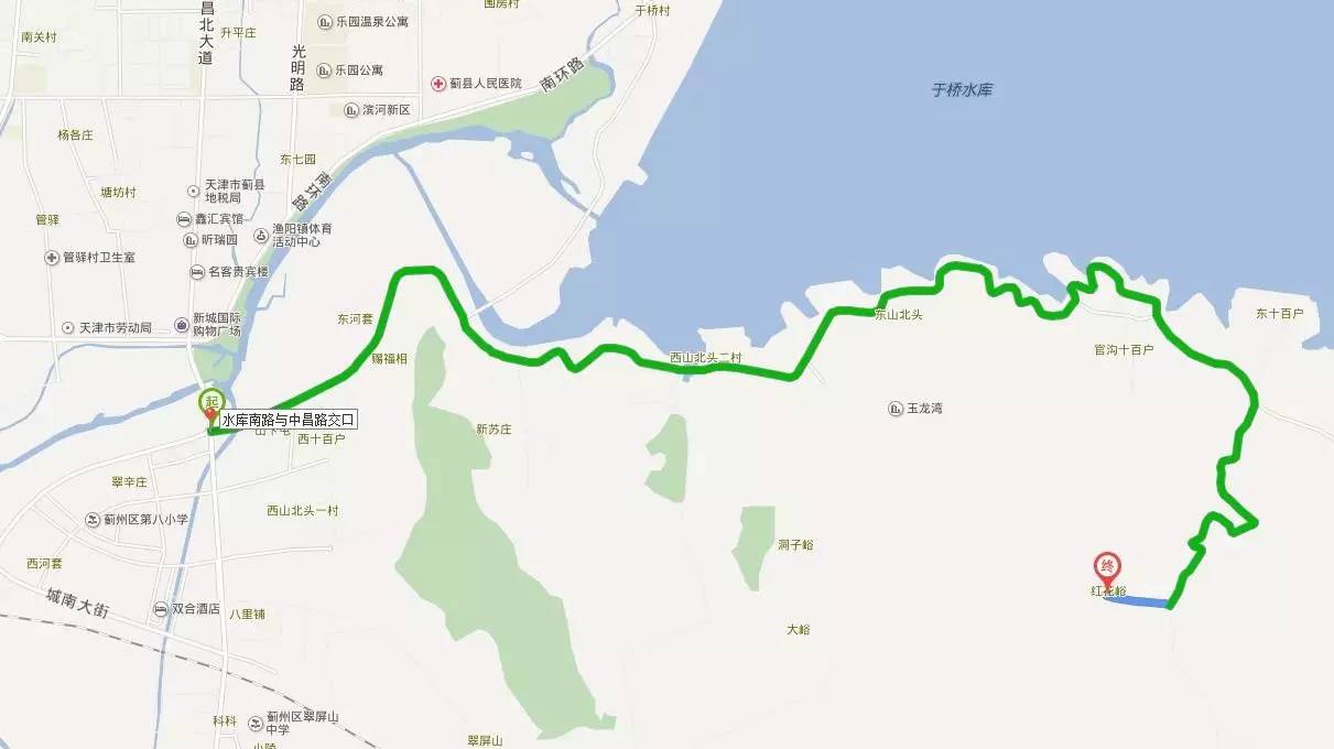 桑葚园采摘技巧,蓟州白桑葚鲜果