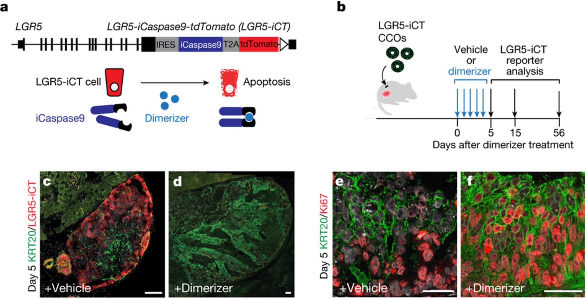 环球科学中文网,环球科学官网