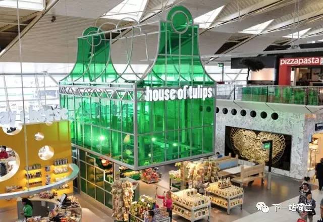 荷兰回国之路,离开荷兰感想