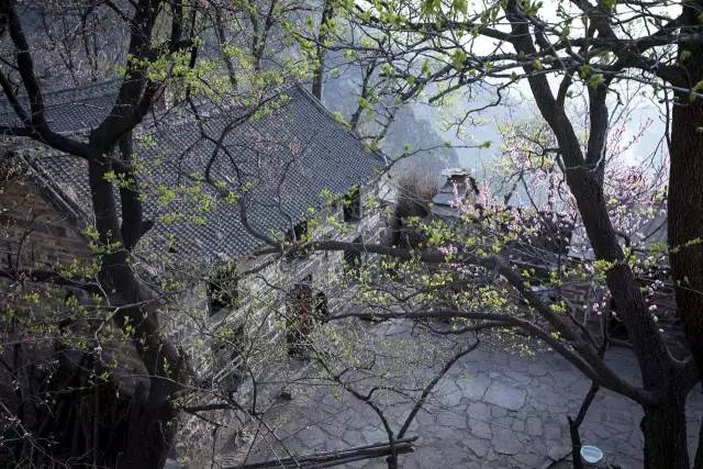 高温天气郑州,郑州高温哪里避暑