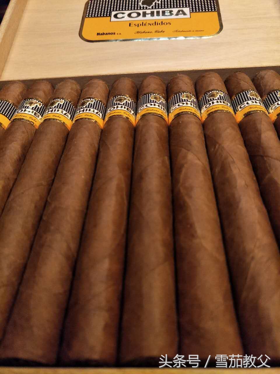 聊聊新手入坑雪茄圈如何选择雪茄,雪茄新手入门怎么选择