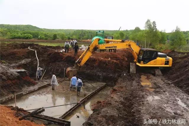 走进森林空气格外清新,走进天然氧吧呼吸新鲜空气