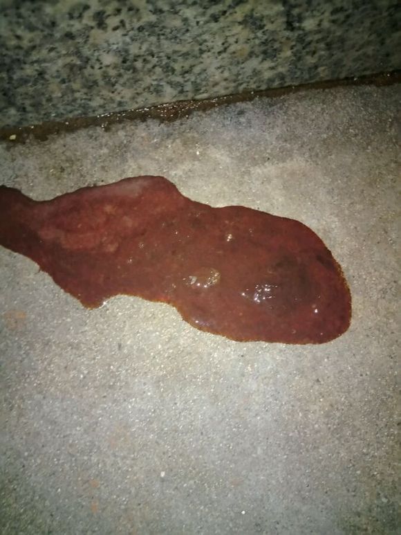 4天186元，治好了狗狗的细小！分享给宠友