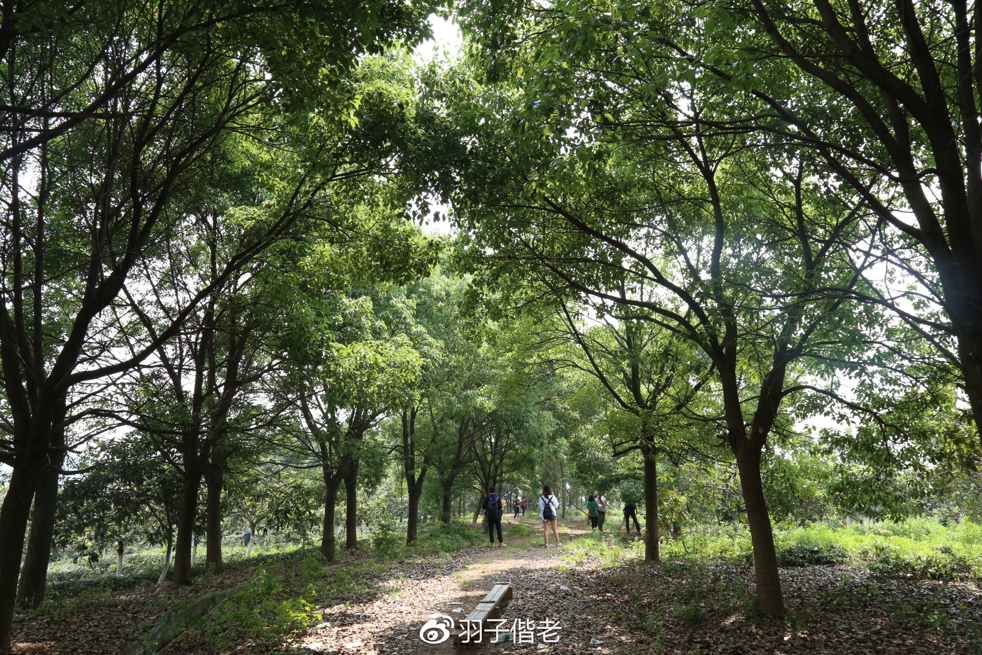 溧阳日日春农庄一日游,溧阳日日春农庄