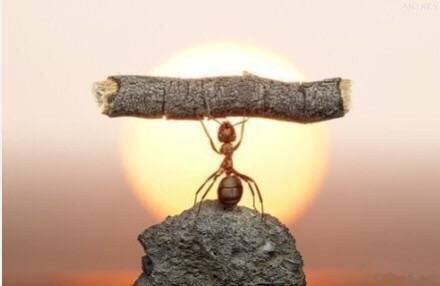 励志短句发朋友圈正能量说说,早安励志语录正能量语录加配图