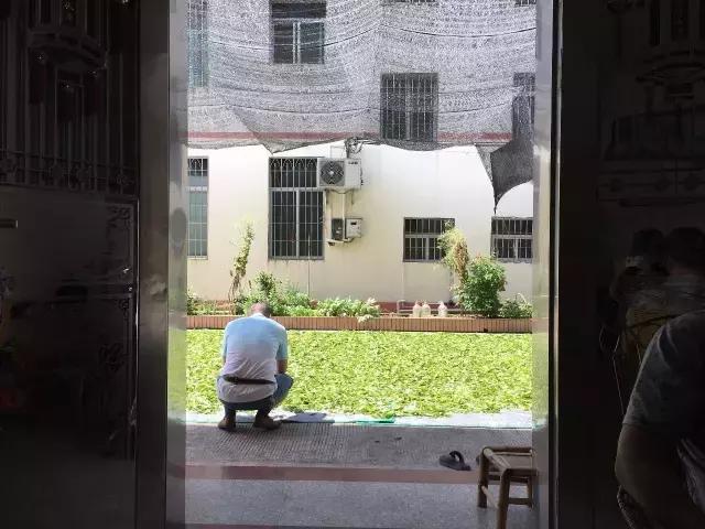 茶旅｜温润如水仙，会是你生活中的日常