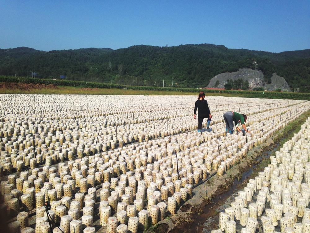 精益求精创造奇迹,精益求精创新科技