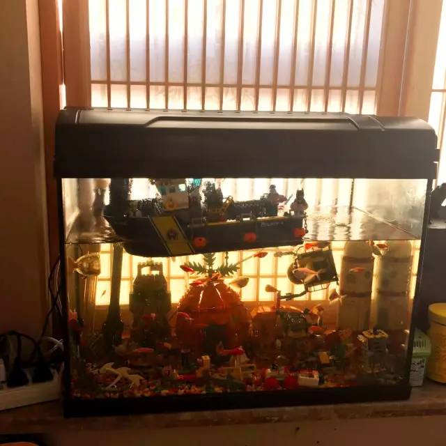 真正震撼人心的收藏,只属于投入感情最多的玩家