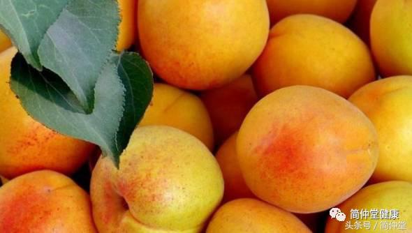 杏能导致流产吗,杏伤人吗