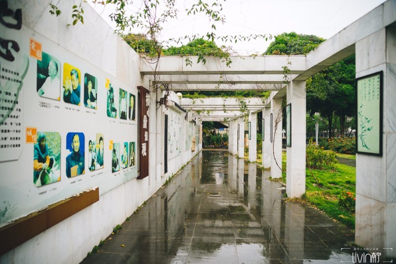 南宁青少年宫老照片,南宁市西乡塘区少年宫