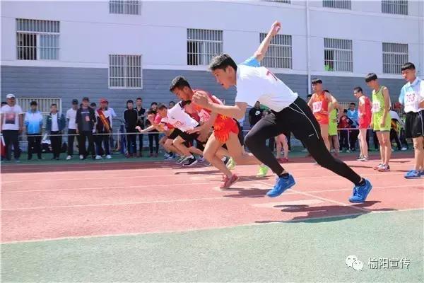 2022榆林市榆阳区中小学生运动会,榆林市榆阳区2024中小学生运动会