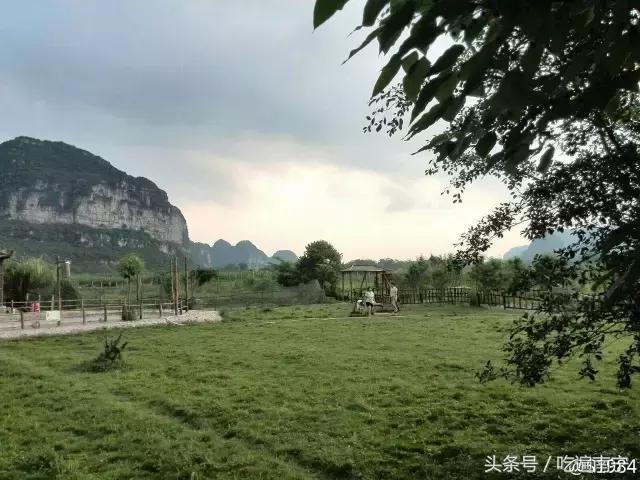 上林旅游有什么好玩的地方,上林好玩地方攻略必去景点