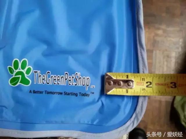 狗狗水床,爱妖经