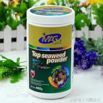 狗狗美毛粉哪个牌子好,狗狗美毛喂什么