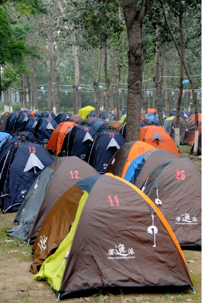 夏天撒欢露营技巧,夏天撒欢