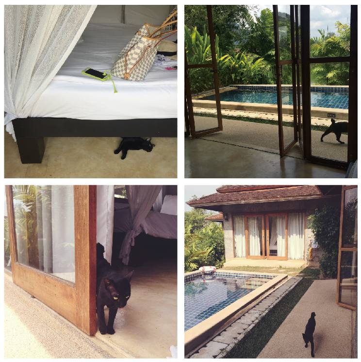 女性独自去旅行遇险,中国女孩独自去泰国遇到危险