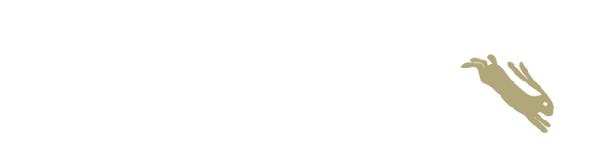 直播营销最新政策解读,干货直播的前景