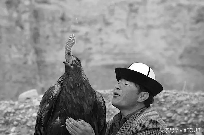 途迹|克尔克孜猎鹰的故乡