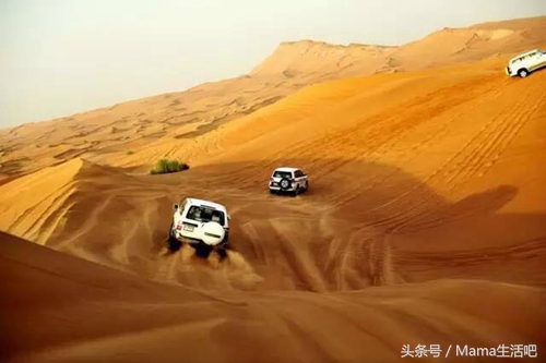 陈柏霖斑马外套同款,陈柏霖同款鞋子