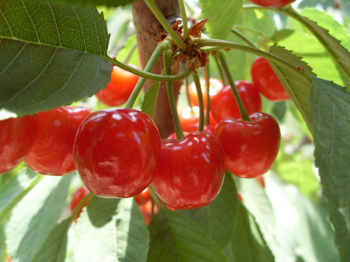 想变成漂亮的仙女吗,想变成美少女被人宠爱