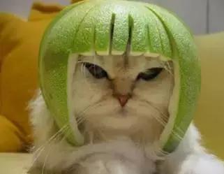 excel表格中最容易犯的小错误,怎样去掉excel单元格的小绿帽