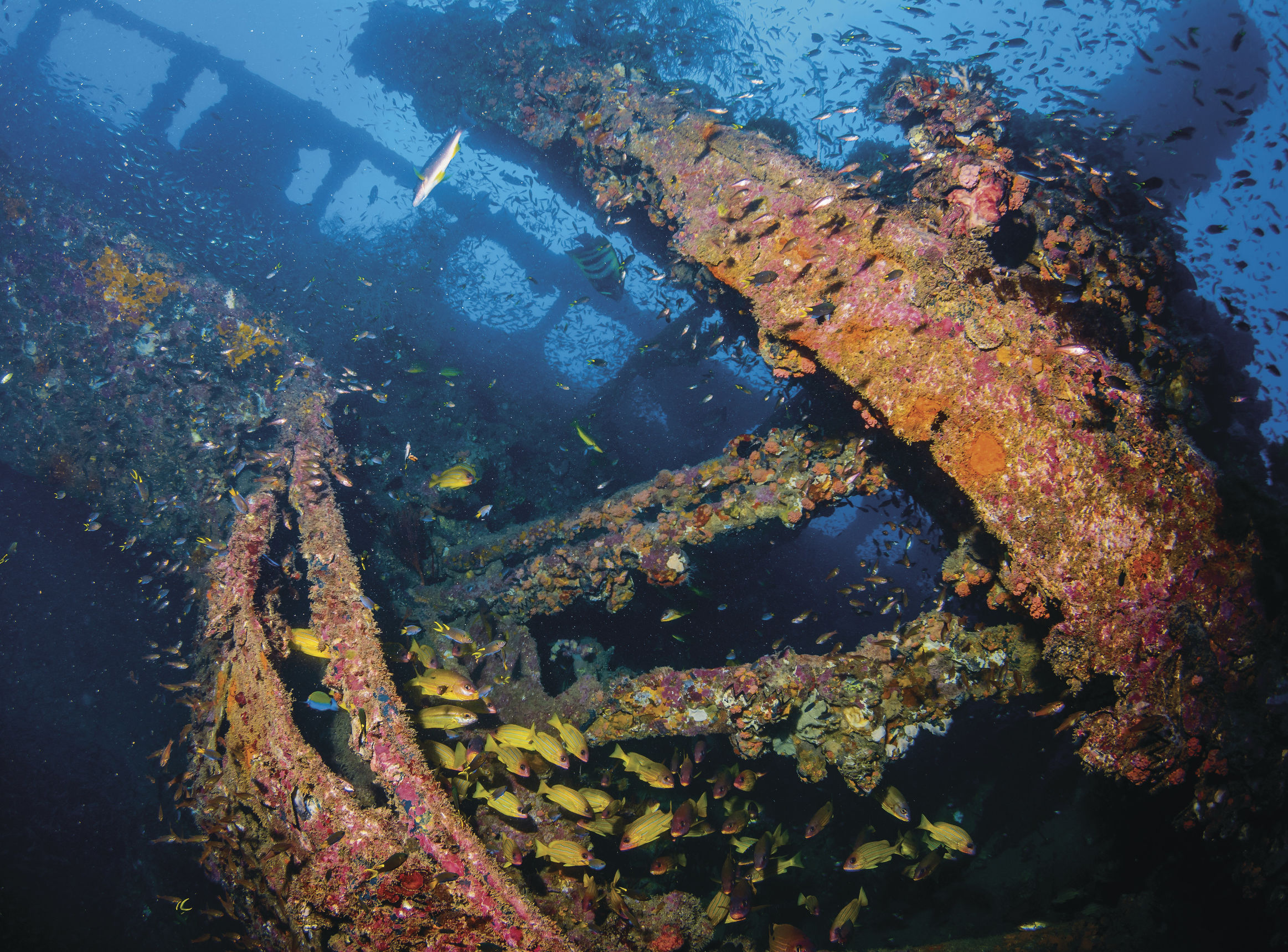 加勒比海盗拍摄地旅游,加勒比海盗4泰国取景地