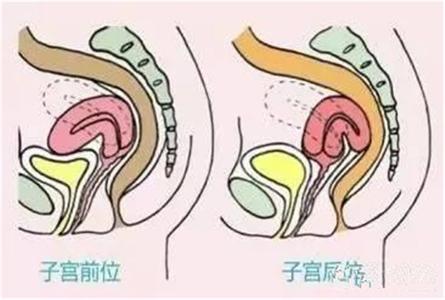 孕早期检查宫内的话需要憋尿吗,孕几周不需要检测孕酮值及hcg值