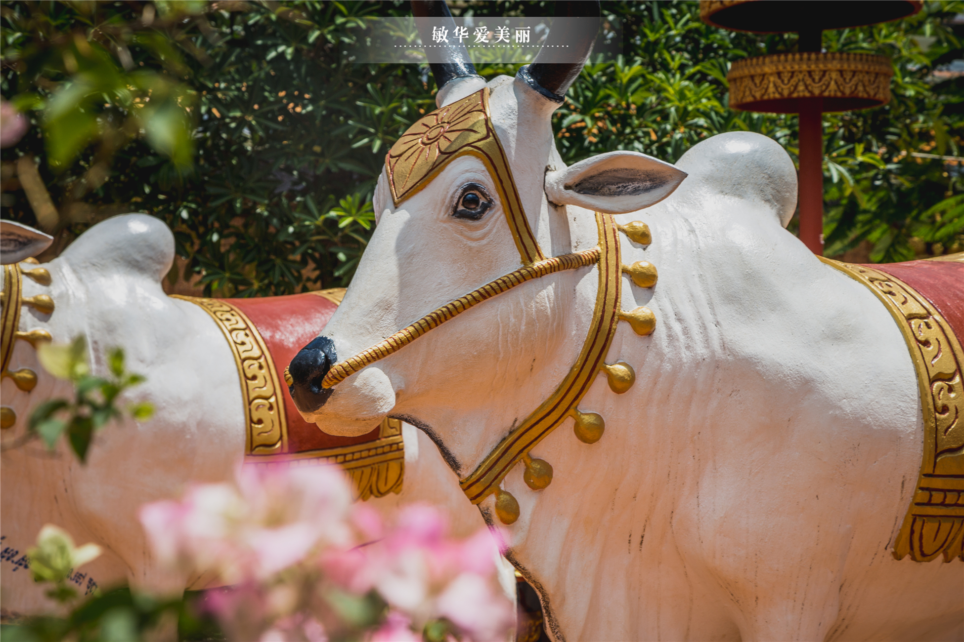 柬埔寨最厉害的寺庙叫什么,柬埔寨最灵的寺庙