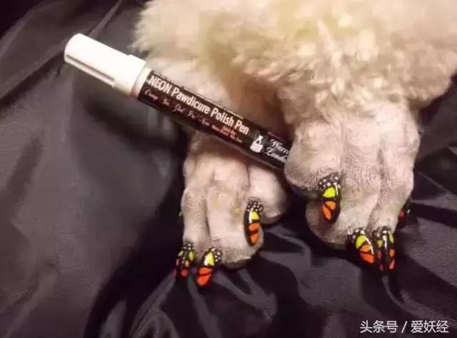 爱妖经｜亲子装，亲子包……现在连美甲都要同款了？