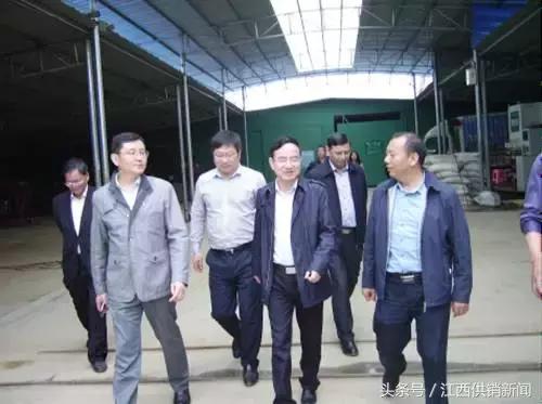 深改督查方案,深改组教育督导