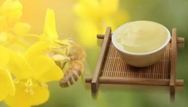 日本养生滋补之蜂产品 (养生保健蜂产品)