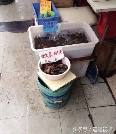 瓜子脸有那么好看吗,为什么大家都是瓜子脸