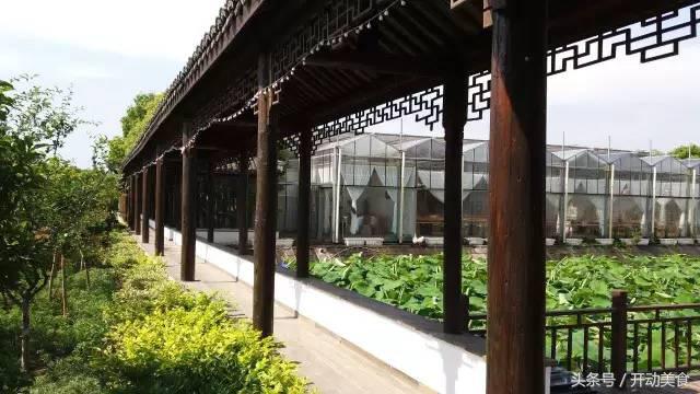 上海迪士尼小镇好吃的好玩的,上海迪士尼度假区周边美食