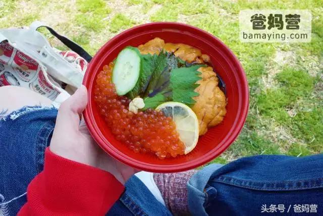 带娃出海邮轮行旅途soeasy,带小孩坐游轮旅行需要带什么