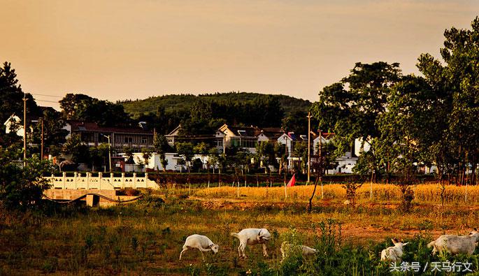 南京市江宁区朱家门农家乐,小九寨沟的民宿
