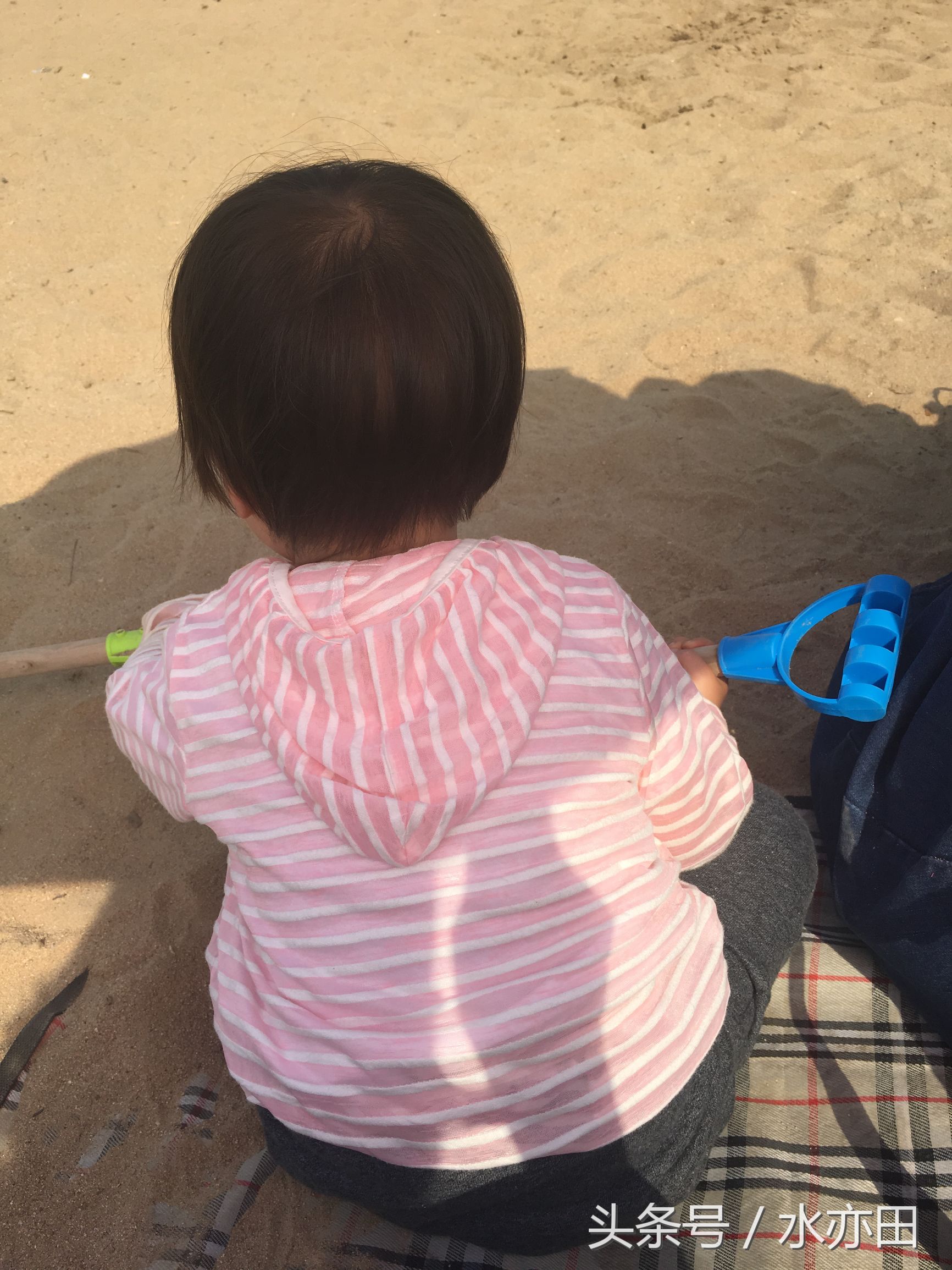 决明子进鼻子里怎么取出来,决明子沙池手术后遗症