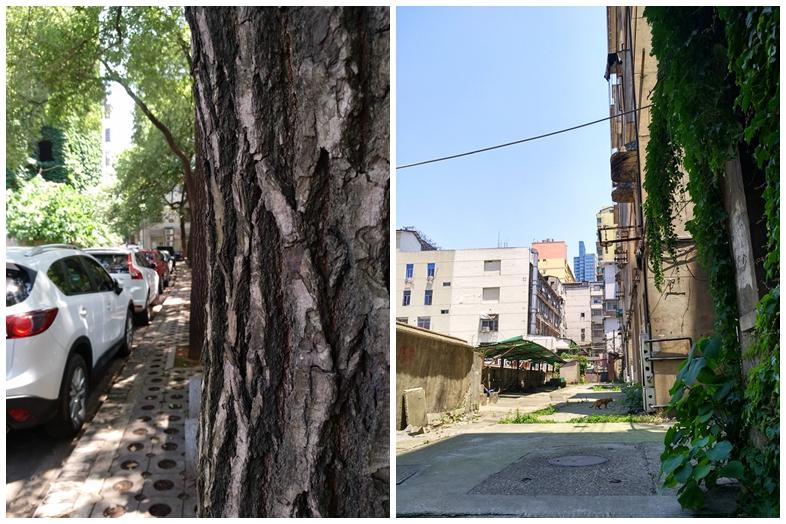 小米max2对比max3测评,小米max2升级安卓9