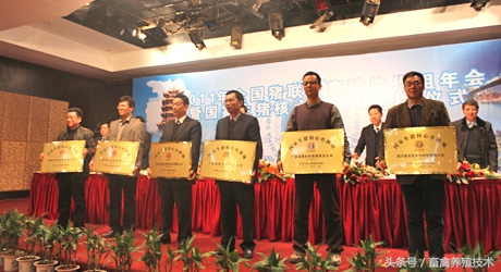 养猪:现有100家生猪核心育种场,未来还会增加到400家!