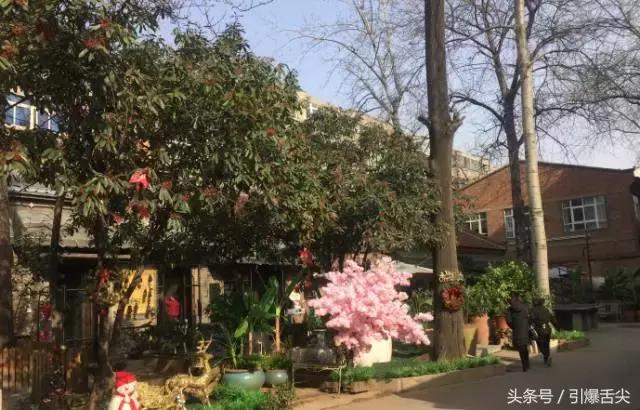 洛阳街头深藏的7家神级餐馆,深藏在合肥巷子里的11家神级馆子