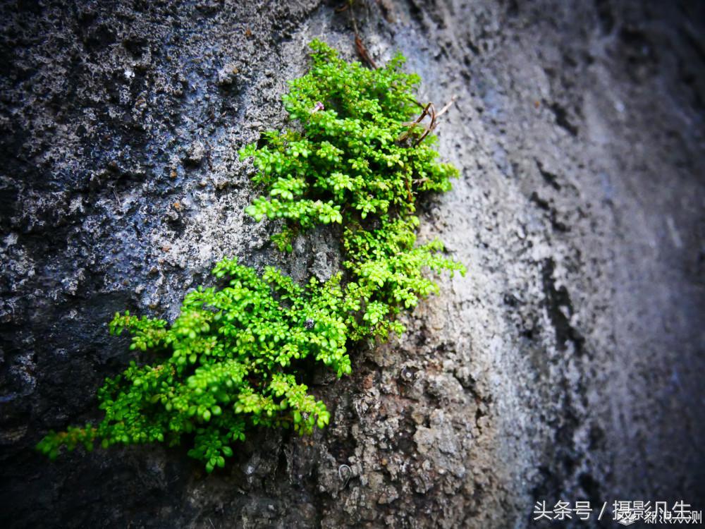 松下gf9值得入手吗,评价松下gf9拍摄视频4k效果