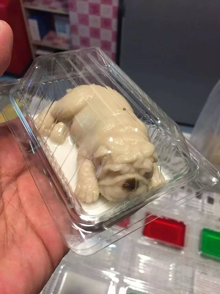 果冻沙皮狗,沙皮狗牛奶果冻