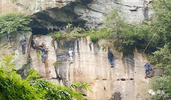 36元起！端午和陈柏霖、林依晨探索高山林海秘境，竹海漫步！