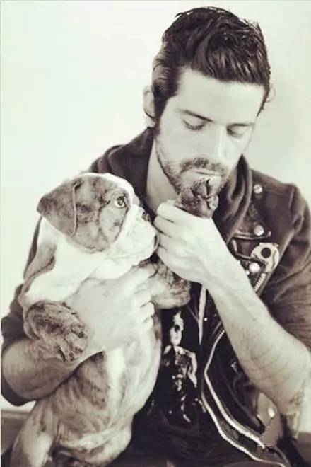 什么人不适合养英牛,都说养宠物的人情商高温柔体贴