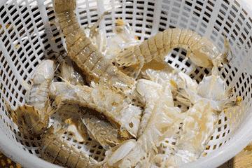 哈啤大排档,哈啤酒大排档