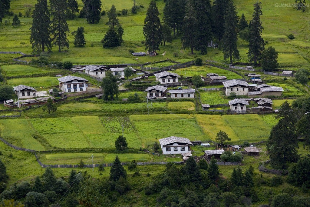 面对灾难感悟,面对灾难与未知